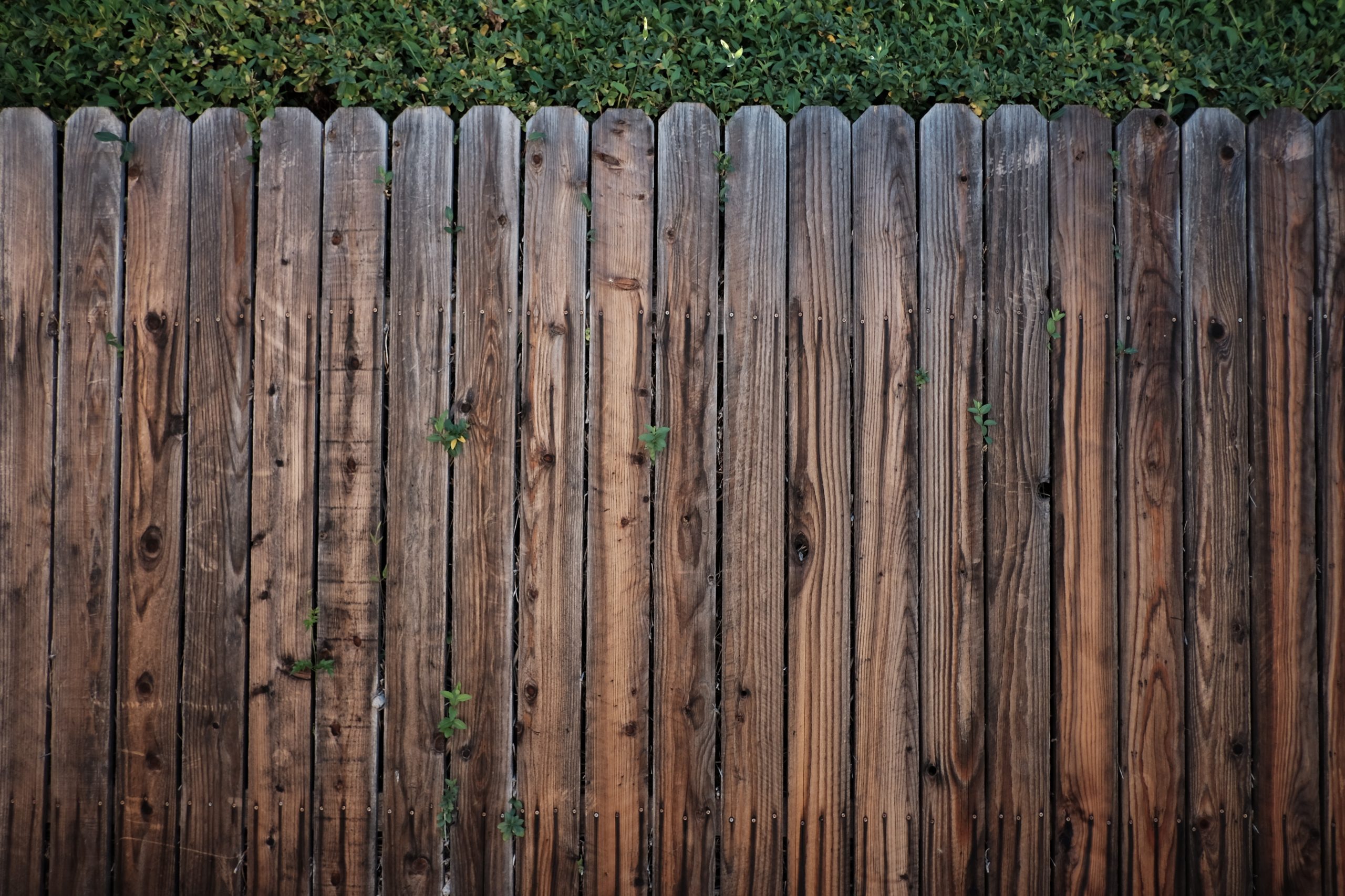 Alpha Fence flagship board-on-board build in Metro Atlanta